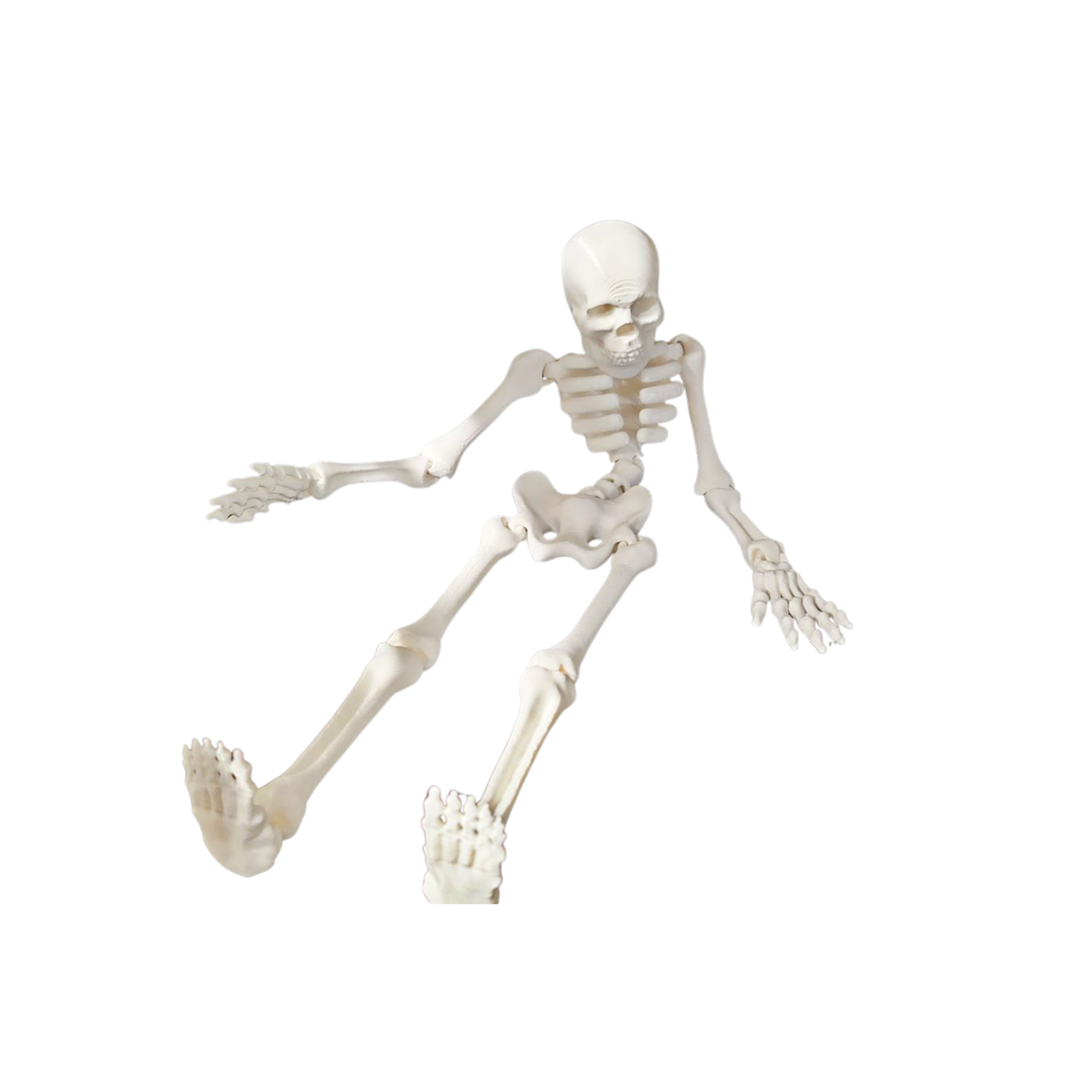 Esqueleto articulado con imán para Halloween — Vista 2